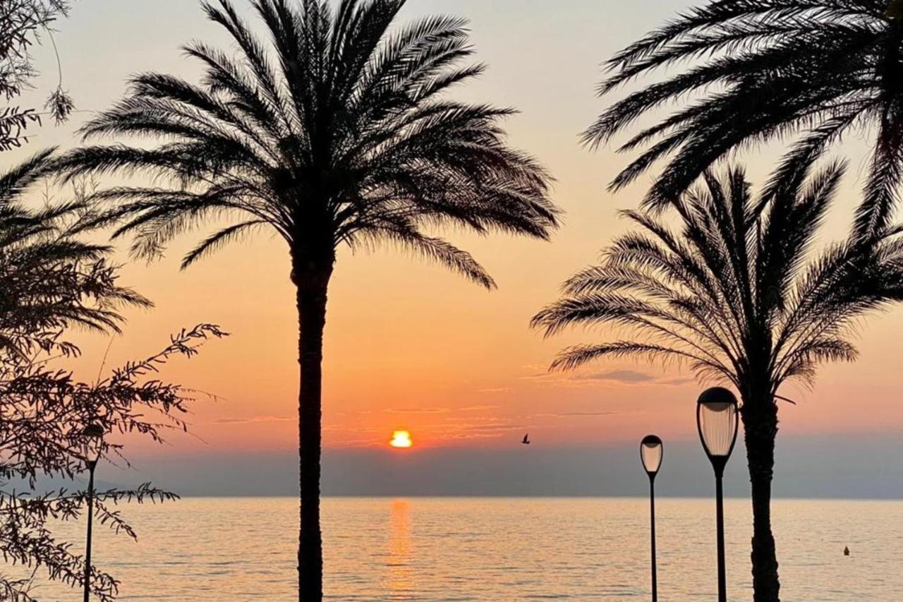 Fully Equipped Beachfront Studio In The Heart Of The City Center Bd Leclerc Antibes Exteriör bild